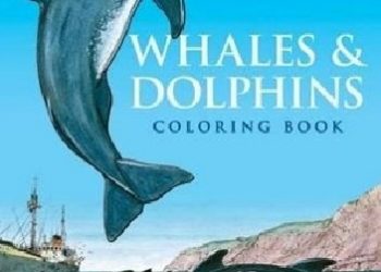 John Green – Whales and Dolphins Coloring Book