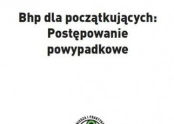 Praca zbiorowa – Bhp dla początkujących: Postępowanie powypadkowe
