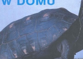 Adam Hryniewicz, Jerzy Gosławski – Żółwie w domu
