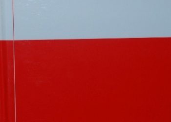 Aleksandra Kubiak-Sokół – Słownik Synonimów