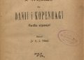 K. J Nitman – Z wycieczki do Danii i Kopenhagi. Garstka wspomnień