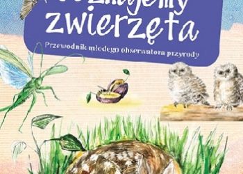 Dorota Zawadzka, Michał Brodacki – Poznajemy zwierzęta. Przewodnik młodego obserwatora przyrody