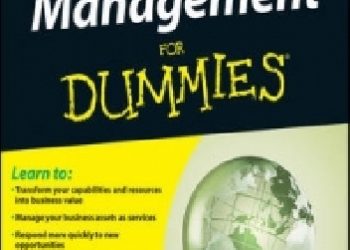 Judith Hurwitz – Service Management for Dummies