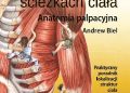 Andrew Biel – Przewodnik pościeżkach ciała. Anatomia palpacyjna. Praktyczny poradnik lokalizacji struktur ciała