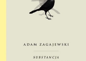 Adam Zagajewski – Substancja nieuporządkowana