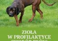 Jarosław Sobolewski – Zioła w profilaktyce chorób psów i kotów