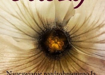 Sandra Ingerman – Odzyskiwanie duszy