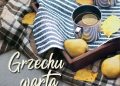 Agata Przybyłek – Grzechu warta
